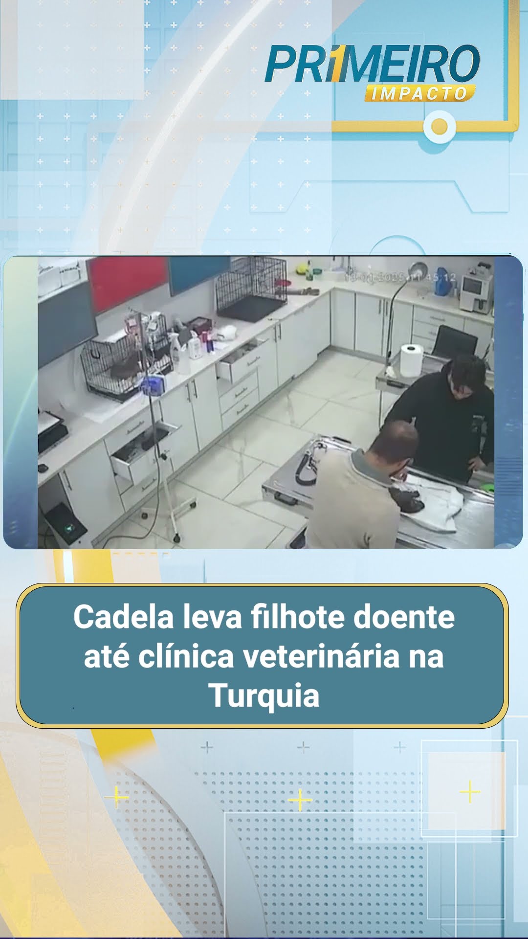 Cadela leva filhote doente até clínica veterinária na Turquia