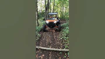 Offroad in the Middle of Forest! RZR Turbo Polaris Challenge Continue #offroad #forest #rzr #turbo