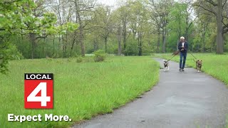 Canine crisis: Dogs keep getting dumped at Detroit park