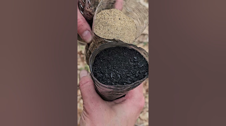 Making a survival water filter and testing it using muddy water💧