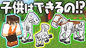 マイクラ スケルトンホースの出し方 ゆっくりマイクラ実況 Java Edition Youtube