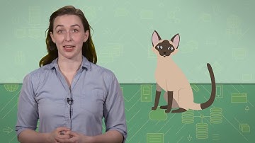 1.2.6 – Generalization - Object-Oriented Design