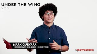Under the Wing: Promo - Cross-Domain Insight with XDR