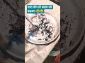 मेरा तो पति ही चुप नहीं होता 😂😂#funny #food #cake #trending #viralvideo #renukidesirasoi