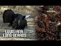 LOUISIANA Long Beards | GOBBLERS and CRAWFISH | Realtree's Spring Thunder