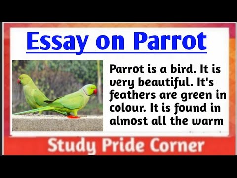 paragraph parrot essay in english 150 words