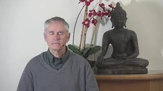 Guided Meditation Wholesome Vitality Know For Yourself 2 Of 5 Knowing What Is Wholesome.