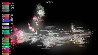 The Zig Language Visualized Using Gource