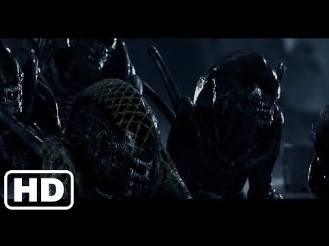 Alien Vs. Predator - The Final Battle - Best Fight Scenes