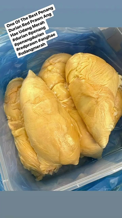 One Of The Best Penang Durian Red Prawn Ang Hae Udang Merah #redprawn #anghae #udangmerah #shorts