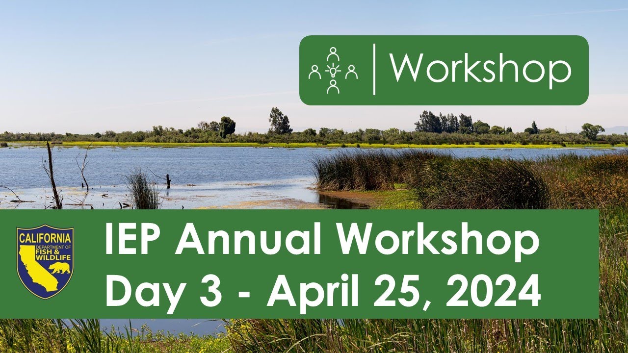 IEP Annual Workshop Day 3 - April 25, 2024