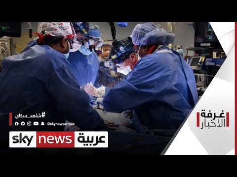 التطور الطبي قلب خنزير في جسم الإنسان غرفة الأخبار
