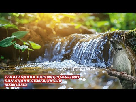 SUARA GEMERCIK AIR TERAPI BURUNG PIJANTUNG