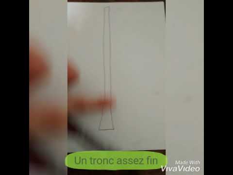 Vidéo: Comment Dessiner Un Pin