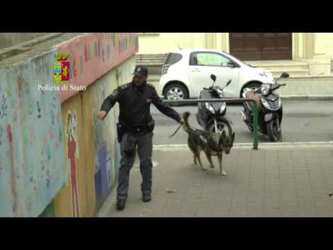 Focus 'ndrangheta. Controlli della Polizia a Reggio Calabria