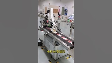 Card paging labeling machine