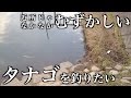 タナゴ釣り 今日こそ釣ってやるぞ!micro fishing