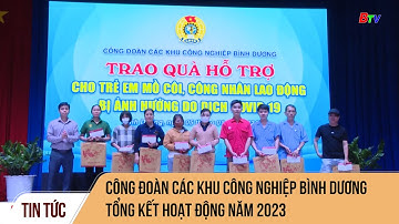 Công đoàn các Khu công nghiệp Bình Dương tổng kết hoạt động năm 2023