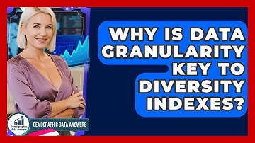 Why Is Data Granularity Key To Diversity Indexes? - Demographic Data Answers