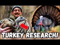 Wild Turkey Research in KENTUCKY!!! (with Dr. Mike Chamberlain)