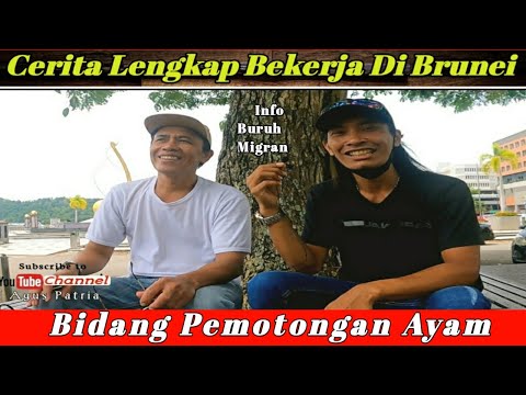 Supplier Ayam Brunei