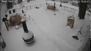 Springfield Il - Snow