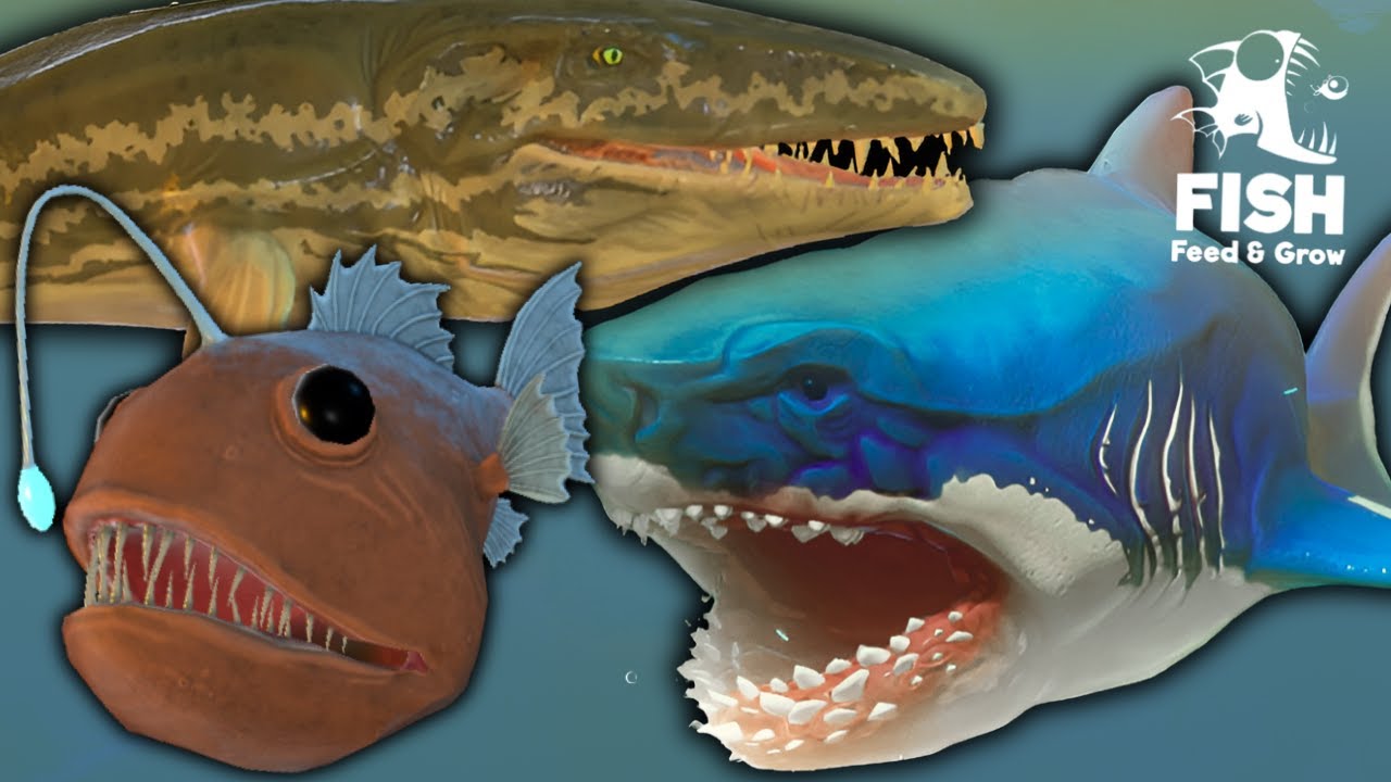 Aku Menjadi Ikan ANGLER FISH Sampai Mendapatkan PROGNATHODON | Feed And Grow Fish