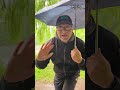 Bitte sagt mir, dass ihr bei so einem Wetter auch einen an der Waffel habt 😭☔😄#fyp #viral #foryou