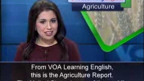Phát âm chuẩn cùng VOA - Anh ngữ đặc biệt: New Farmers Go to Work (VOA-Ag Rep)