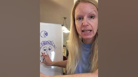 Classical Conversations Cycle 3 Week 1 Science Experiment