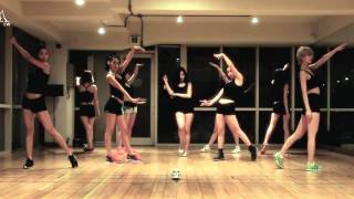 Nine Muses 'WILD' mirrored Dance Practice