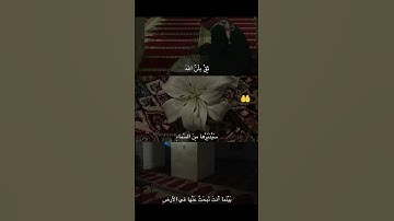 قل لا أملك لنفسي ضرا ولا نفعا #قرآن #تلاوة_خاشعة #fyp #foryou
