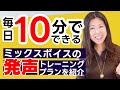 【毎日10分】美しいミックスボイスを作る発声プラン【地声と裏声をスムーズにつなげるオクターブスケール】