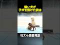 感動!子犬たちを助けてと母犬の愛情物語とは... #動物保護 #感動する話 #泣ける話