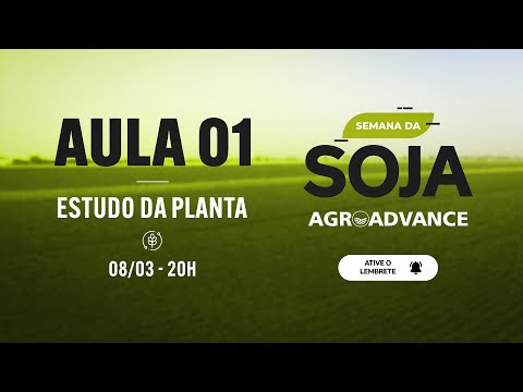 Vídeo: Quando a soja começa a nodular?