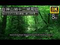 白神山地・十二湖の深緑に包まれて ─ 鳥のさえずりと静寂の森【8K・8時間】Shirakami Birdsong Forest