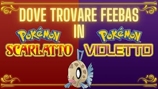 Dova trovare Feebas in Pokémon Scarlatto e Violetto | La Maschera Turchese!