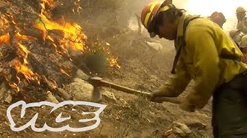 How to Fight Forest Fires