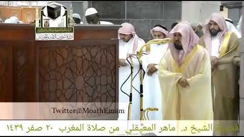 تلاوة جميلة للشيخ ماهر المعيقلي من سورة الأحقاف.
