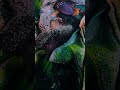 Art 🤝 tech. Machine Hallucinations — LNM, created by Refik Anadol Studio using Google AI technology🤫