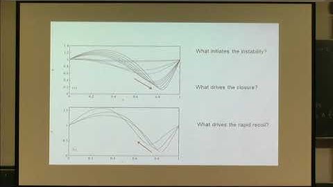 Multiple Speakers | Plenary Lecture 12: Slamming in flexible-channel flows