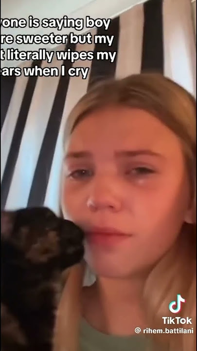 Cat 🐱 funny✌️ kucing menghibur pemiliknya yang sedang menangis #kucinglucu #shortvideo