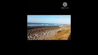 Download lagu NITU NUA (Lagu Daerah Ende Lio Tempo Doeloe)