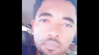 HammerQ = Teddy _Audio