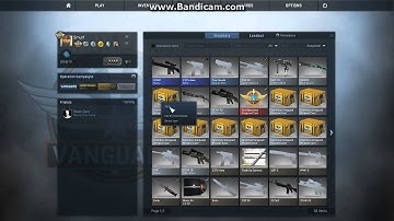 Open Operation Vanguard Weapon Case