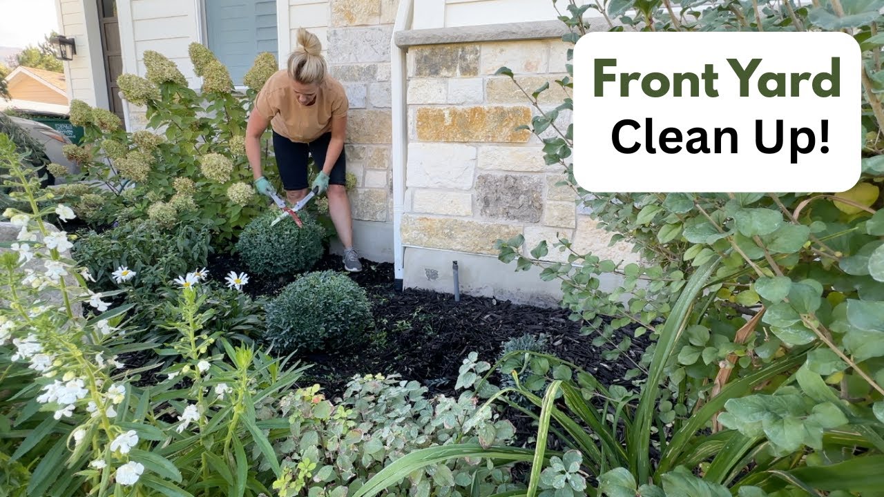 Уборка переднего двора!