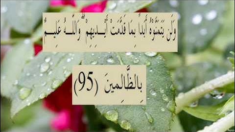 القران الكريم سورة البقرة الاية 95