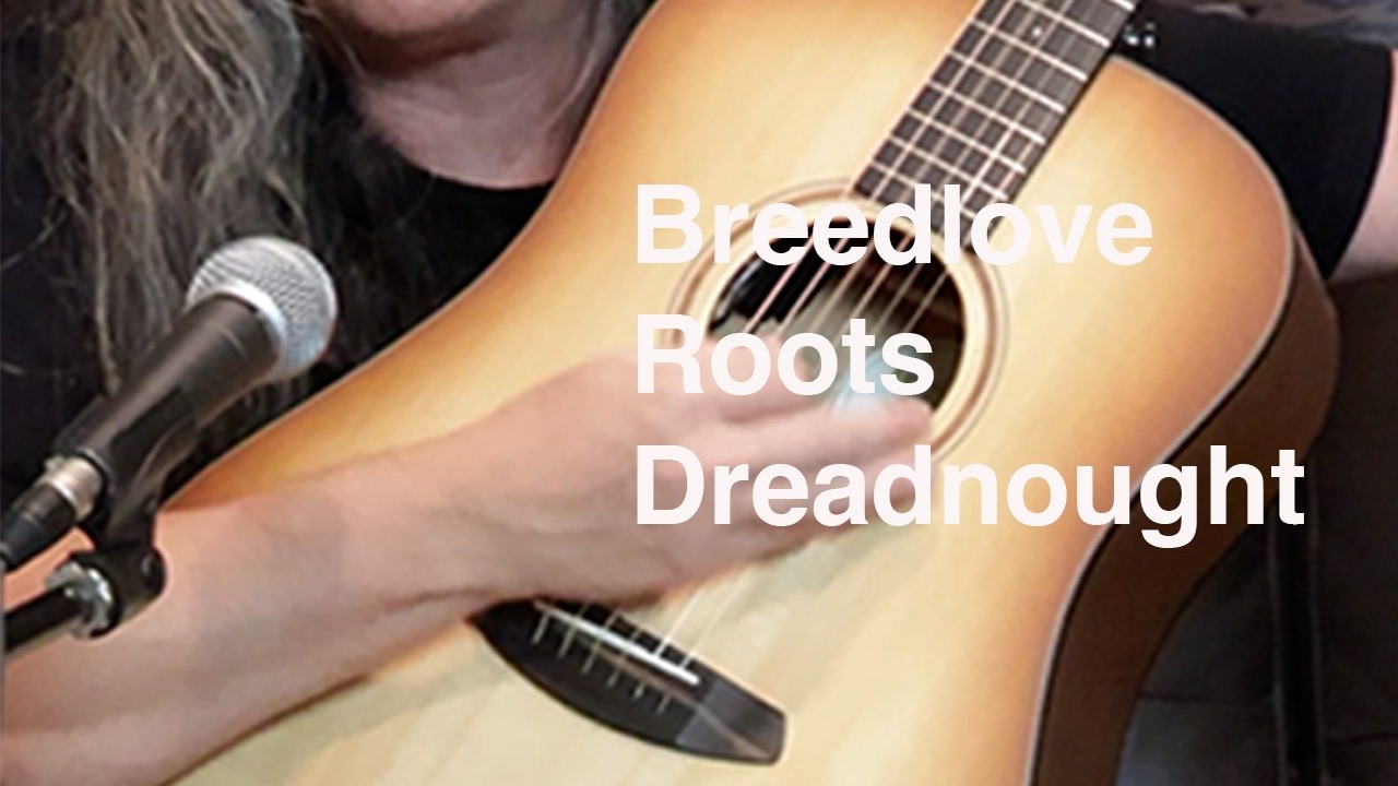 Breedlove Roots Dreadnought Edgeburst Demo | Sitka Spruce, Honduran Mahogany | LR Baggs HiFi
