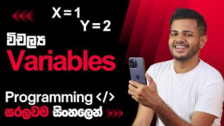 Variables Explained | සරලව සිංහලෙන් Programming Concepts