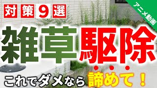 【これで、ダメなら諦めて】最強の雑草対策はこれだ！プロが選ぶ9選